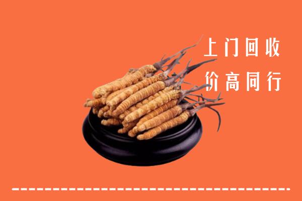 高价求购：张掖回收散虫草