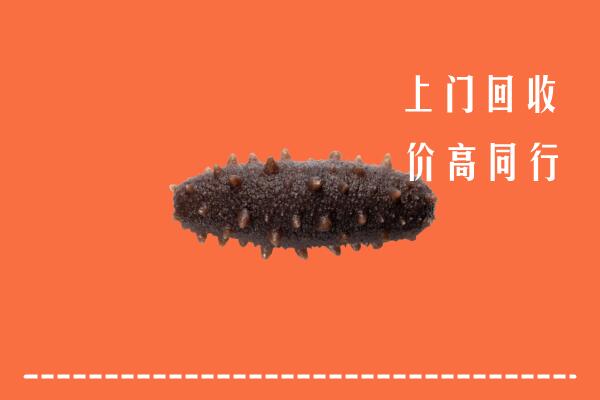 高价求购：张掖回收海参