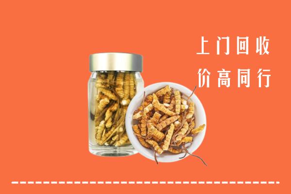张掖回收冬虫夏草